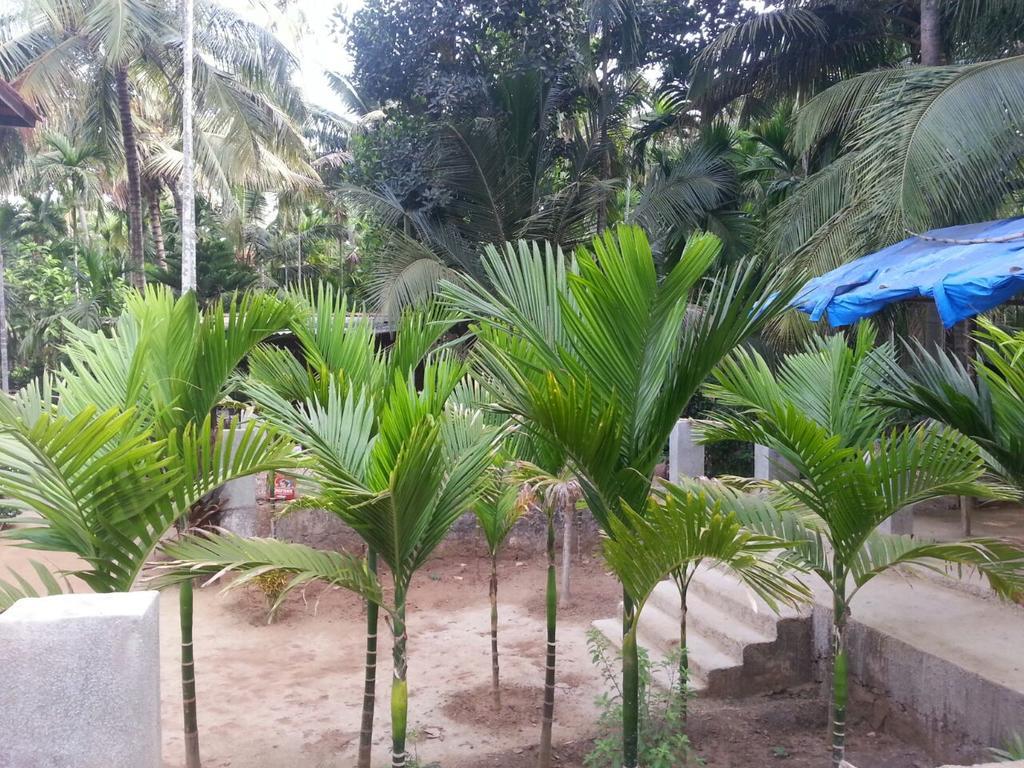 Tendulkar Beach Resort Diveāgar 外观 照片